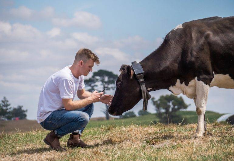 New Zealand agritech startup Halter has raised $29 million in Series B ...