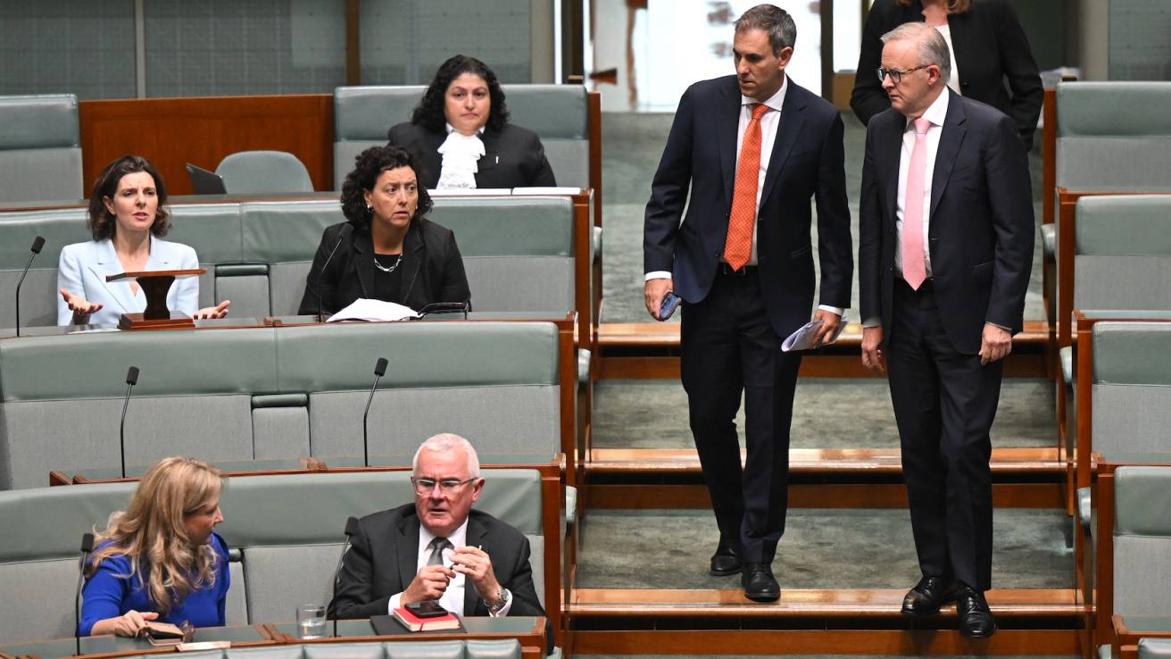 Independent MP Allegra Spender fights the government's startup CGT changes in Parliament with a simpler Plan B